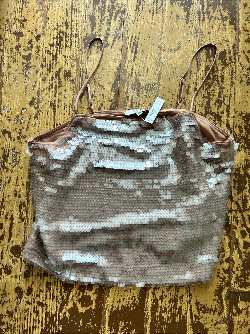 Madewell Nude Sequin Camisole